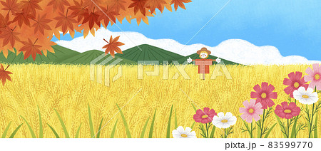 autumn scenery with colorful leaves and cosmos 83599770