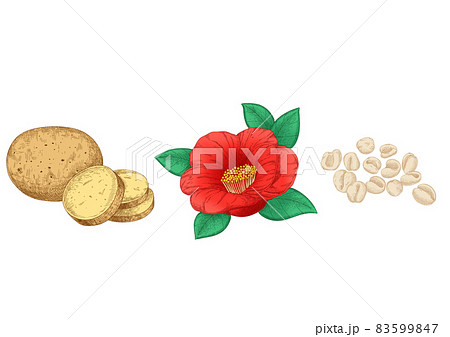 skin care ingredients, natural organic material illustrations skin care ingredients, natural organic material illustrations 83599847