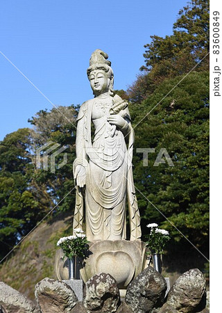 横須賀信楽寺 見返り観音像 83600849