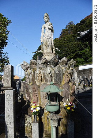 横須賀信楽寺 見返り観音像 横須賀信楽寺 見返り観音像 83600851