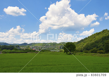 【相模原市】相模川大島中洲の風景 【相模原市】相模川大島中洲の風景 83601709
