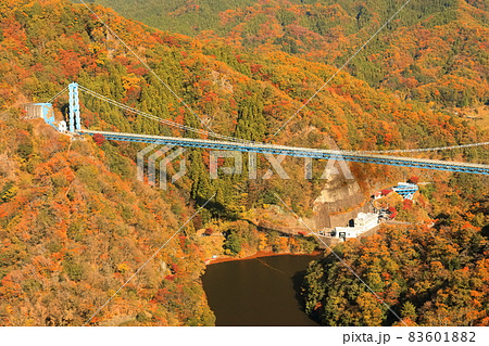 【茨城県】晴天下の竜神大吊橋の紅葉 【茨城県】晴天下の竜神大吊橋の紅葉 83601882