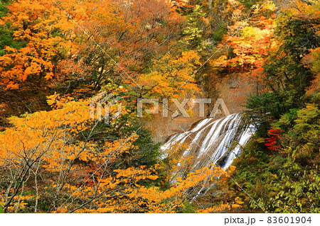 【茨城県】紅葉の袋田の滝 【茨城県】紅葉の袋田の滝 83601904