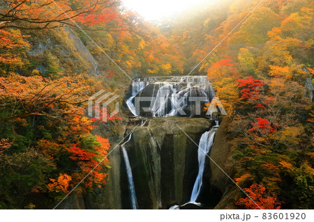 【茨城県】紅葉の袋田の滝 83601920