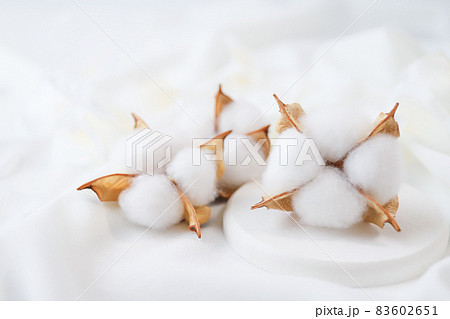 コットンフラワー 綿花 コットンフラワー 綿花 83602651