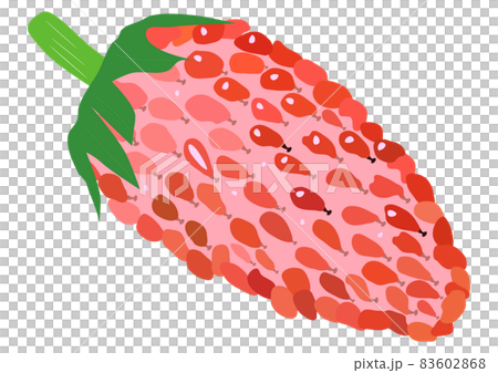 “野草莓”草莓 83602868