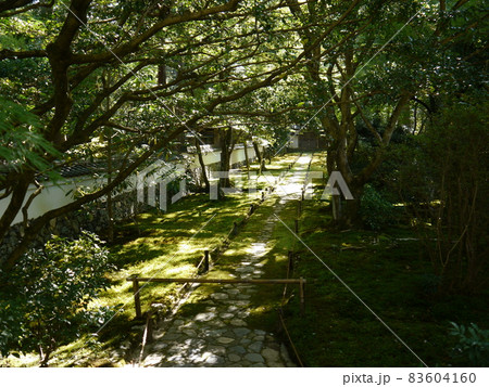 苔寺(西芳寺)世界文化遺産 古都京都の文化財 苔寺(西芳寺)世界文化遺産 古都京都の文化財 83604160