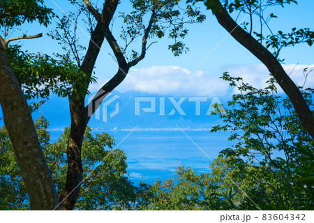 八幡山 山頂登山道より琵琶湖方面を望む 八幡山 山頂登山道より琵琶湖方面を望む 83604342