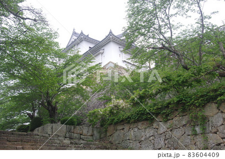 津山城　天守 83604409