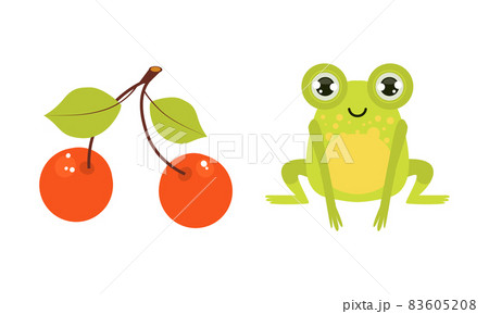 Green Frog and Cherry Berry on Branch Vector Set Green Frog and Cherry Berry on Branch Vector Set 83605208
