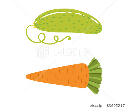 Ripe Carrot and Cucumber Vegetable as Healthy Raw Food and Garden Cultivar Vector Set 83605217