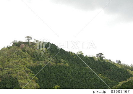 竹田城　頂上を見上げる 83605467