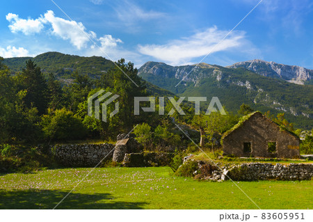 Lovcen Mountains National park - Montenegro 83605951
