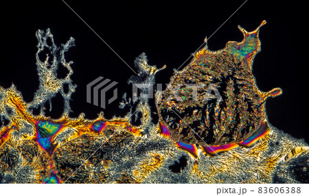 Extreme macro photograph of Vitamin C crystals forming abstract modern art patterns, when illuminated with polarized light, under a microscope objective with 10x magnification Extreme macro photograph of Vitamin C crystals forming abstract modern art patterns, when illuminated with polarized light, under a microscope objective with 10x magnification 83606388