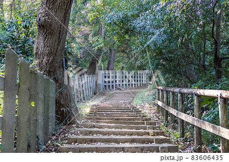 山道の階段 83606435