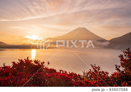 (山梨県)本栖湖から望む富士山、黄金色の夜明け (山梨県)本栖湖から望む富士山、黄金色の夜明け 83607088