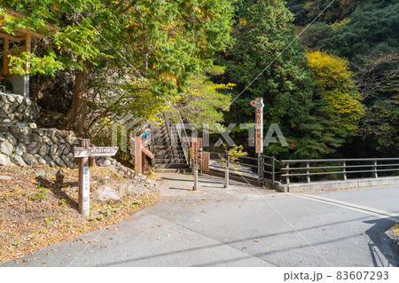 みたらい渓谷の入口 83607293