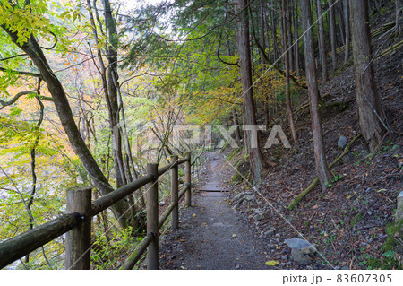 みたらい遊歩道（みたらい渓谷） 83607305