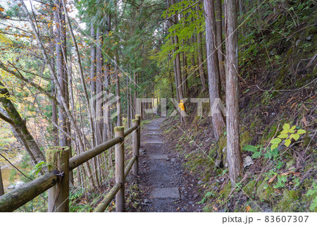 みたらい遊歩道（みたらい渓谷） 83607307
