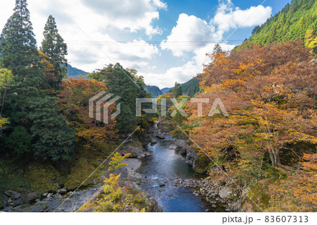 天川川合付近の川合の吊橋から見た天ノ川（みたらい渓谷） 83607313