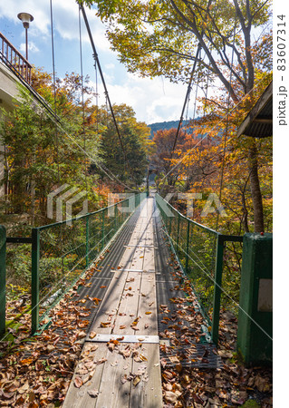 天川川合付近の川合の吊橋（みたらい渓谷） 83607314