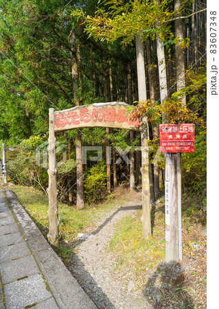 洞川温泉へ向かうみたらい遊歩道の入口（みたらい渓谷） 83607348