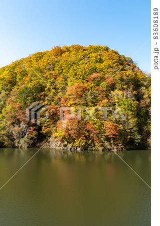 ダム_湖_秋_紅葉 ダム_湖_秋_紅葉 83608189