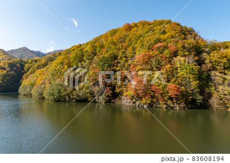 ダム_湖_秋_紅葉 ダム_湖_秋_紅葉 83608194