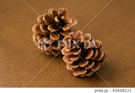 松ぼっくり 83608221