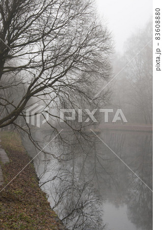 Autumn landscape with fog 83608880