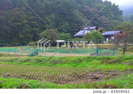 津金の農村風景《北杜市》 83609082