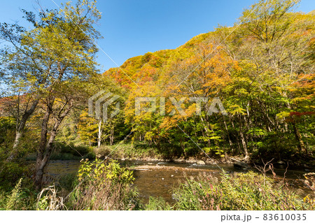 渓流_秋_フィッシング_紅葉 渓流_秋_フィッシング_紅葉 83610035