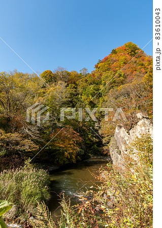 渓流_秋_フィッシング_紅葉 渓流_秋_フィッシング_紅葉 83610043