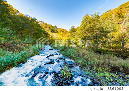 渓流_秋_フィッシング_紅葉 渓流_秋_フィッシング_紅葉 83610054