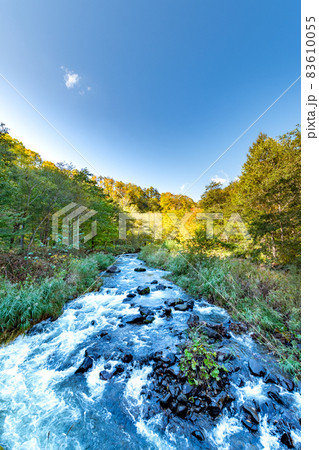 渓流_秋_フィッシング_紅葉 渓流_秋_フィッシング_紅葉 83610055