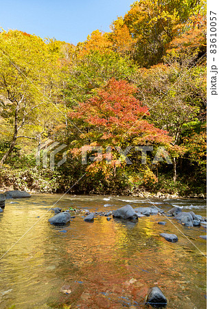 渓流_秋_フィッシング_紅葉 渓流_秋_フィッシング_紅葉 83610057