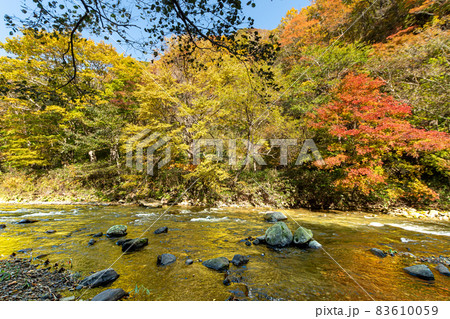 渓流_秋_フィッシング_紅葉 渓流_秋_フィッシング_紅葉 83610059