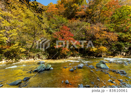 渓流_秋_フィッシング_紅葉 渓流_秋_フィッシング_紅葉 83610061
