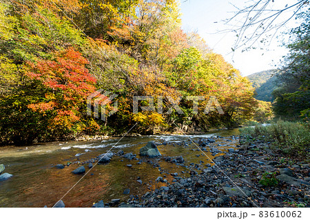 渓流＿秋＿フィッシング＿紅葉 83610062