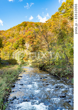 渓流_秋_フィッシング_紅葉 渓流_秋_フィッシング_紅葉 83610066