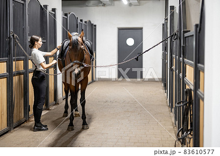 Female horseman puts ammunition on her horse in stable Female horseman puts ammunition on her horse in stable 83610577