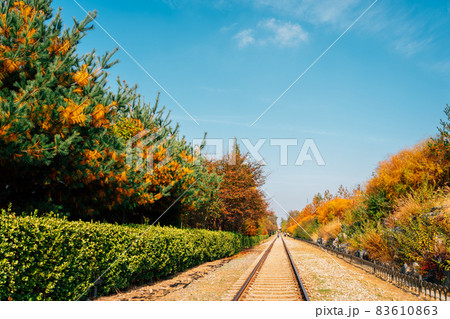 Autumn of Hangdong Railroad in Seoul, Korea Autumn of Hangdong Railroad in Seoul, Korea 83610863