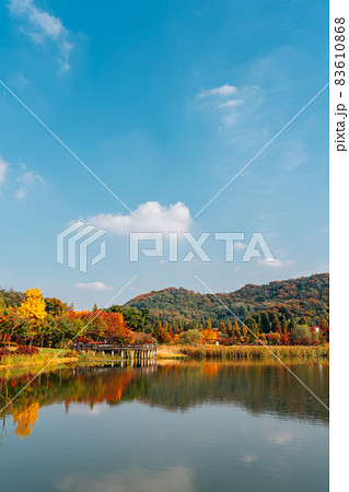 Autumn of Pureun arboretum near Hangdong Railroad in Seoul, Korea Autumn of Pureun arboretum near Hangdong Railroad in Seoul, Korea 83610868