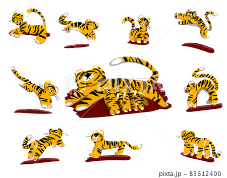 色々なポーズのトラの絵 83612400