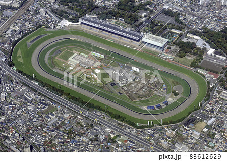東京競馬場付近を空撮 83612629
