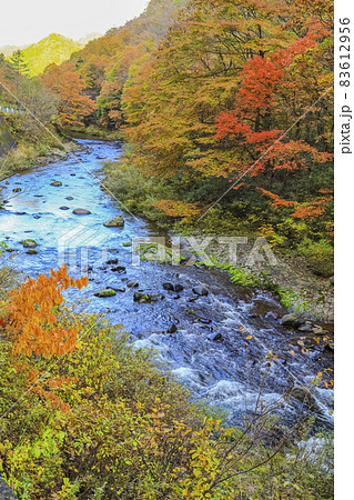 紅葉の秋保大滝　名取川　二口渓谷 83612956