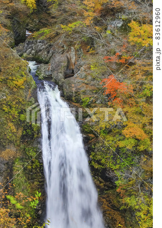 紅葉の秋保大滝　名取川　二口渓谷 83612960