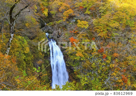 紅葉の秋保大滝　名取川　二口渓谷 83612969