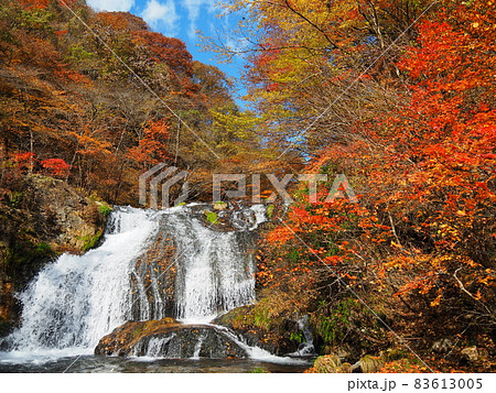 紅葉の玉簾滝 紅葉の玉簾滝 83613005