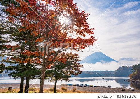 (山梨県)精進湖畔の紅葉と富士山 (山梨県)精進湖畔の紅葉と富士山 83613276